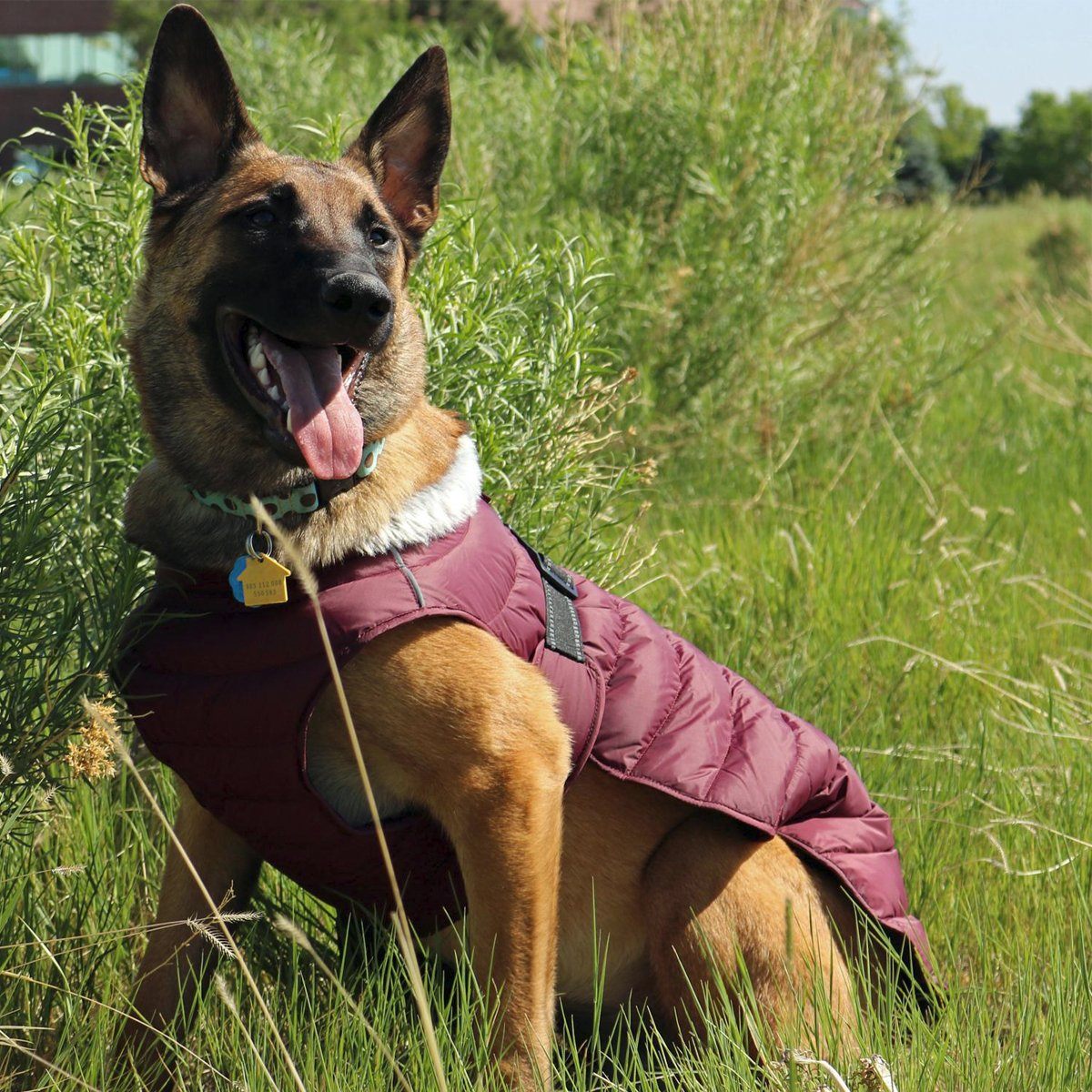 Alpine Extreme Weather Puffer Dog Coat - Burgundy | Pawlicious & Company