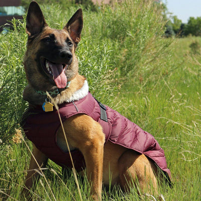 Alpine Extreme Weather Puffer Dog Coat - Burgundy | Pawlicious & Company