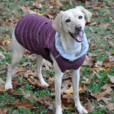 Alpine Extreme Weather Puffer Dog Coat - Burgundy | Pawlicious & Company