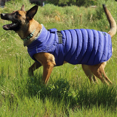 Alpine Extreme Weather Puffer Dog Coat - Navy | Pawlicious & Company