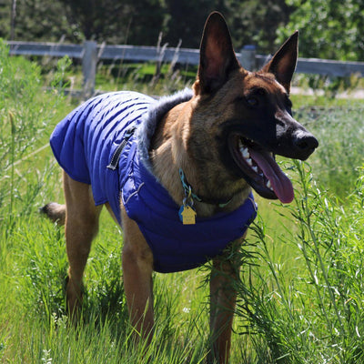 Alpine Extreme Weather Puffer Dog Coat - Navy | Pawlicious & Company