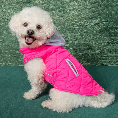 Weekender Sweatshirt Hoodie in Pink | Pawlicious & Company