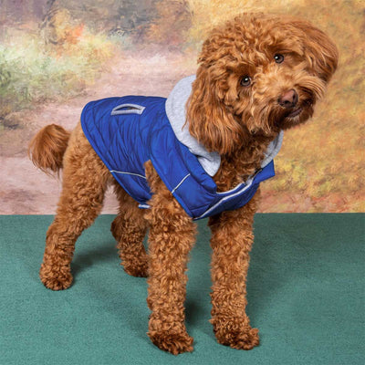 Weekender Sweatshirt Hoodie in Blue | Pawlicious & Company
