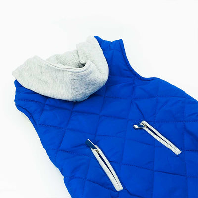Weekender Sweatshirt Hoodie in Blue | Pawlicious & Company