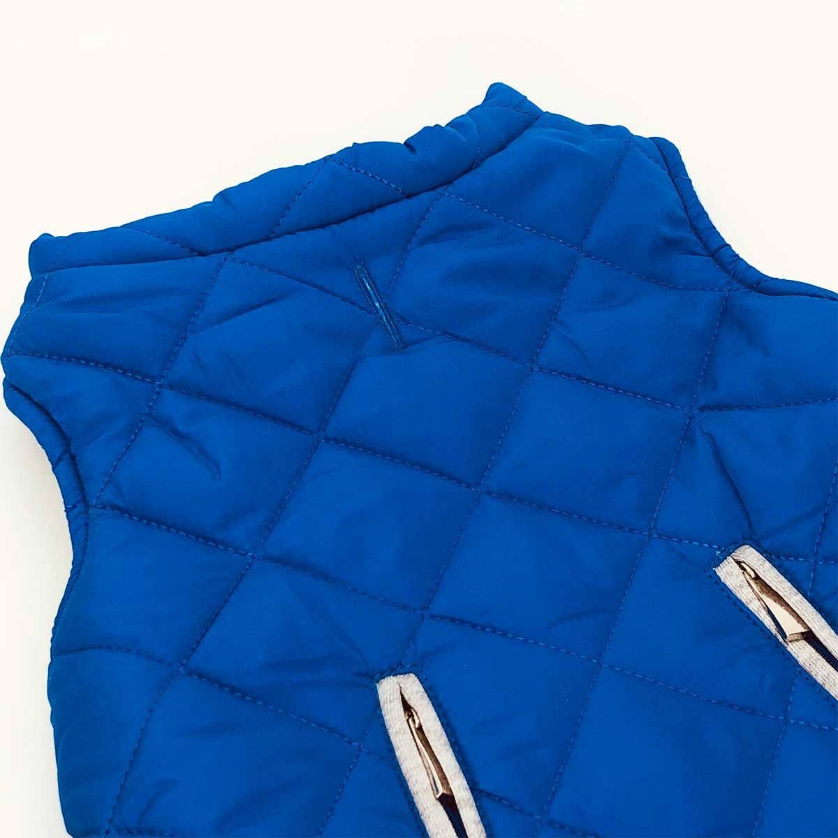 Weekender Sweatshirt Hoodie in Blue | Pawlicious & Company