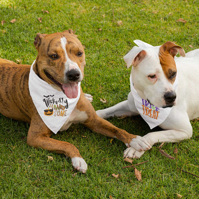 Wickedly Handsome Pet Bandana | Pawlicious & Company