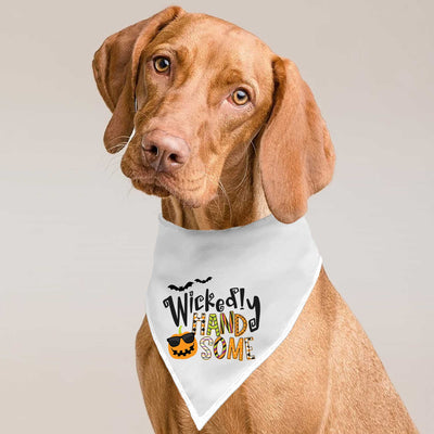 Wickedly Handsome Pet Bandana | Pawlicious & Company
